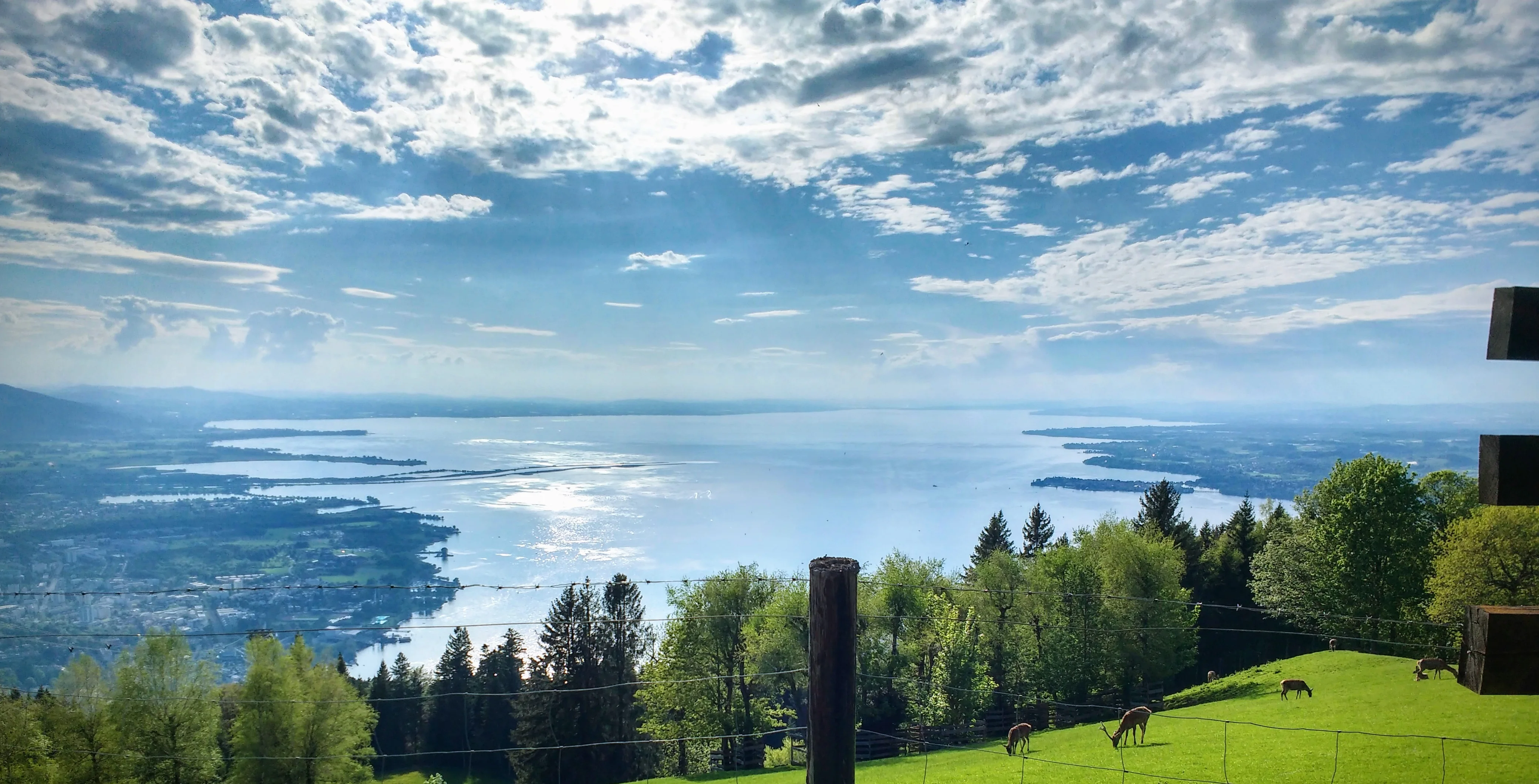 Blick vom Pfänder über den Bodensee bei Bregenz