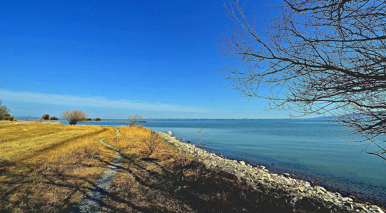 Rheinspitz im Rheindelta bei Gaißau am Bodensee