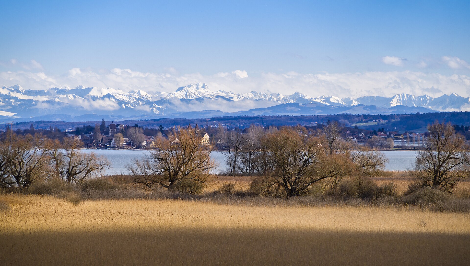Panoramablick über das Naturschutzgebiet Halbinsel Mettnau mit Untersee und Alpen