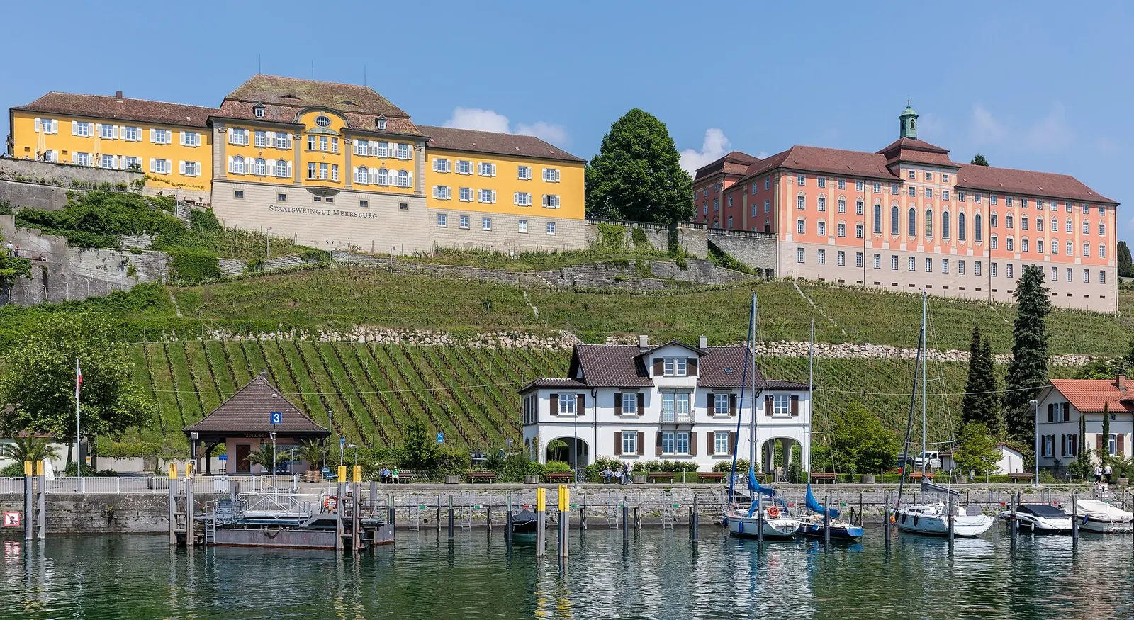 Staatsweingut Meersburg in Meersburg