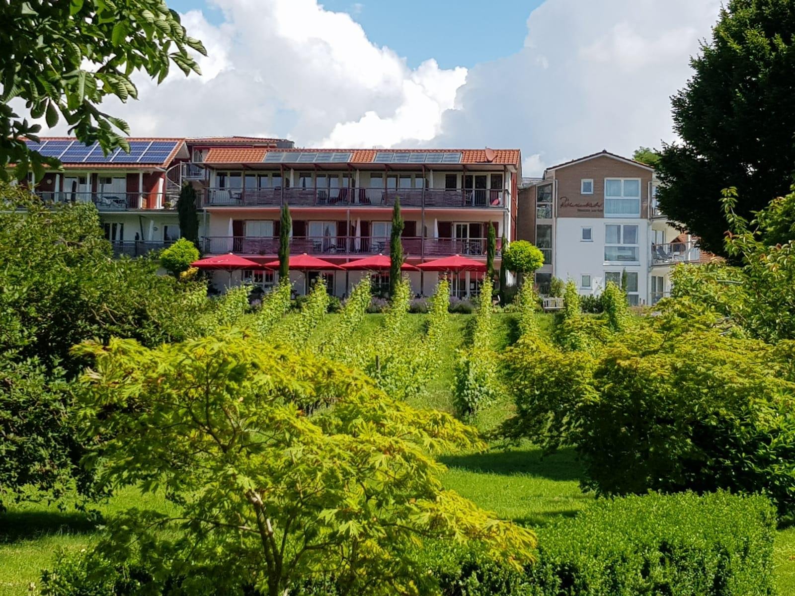 Tatsächliches Weingut Röhrenbach in Immenstaad: Haus, Terrasse mit roten Schirmen und Weinreben im Vordergrund.