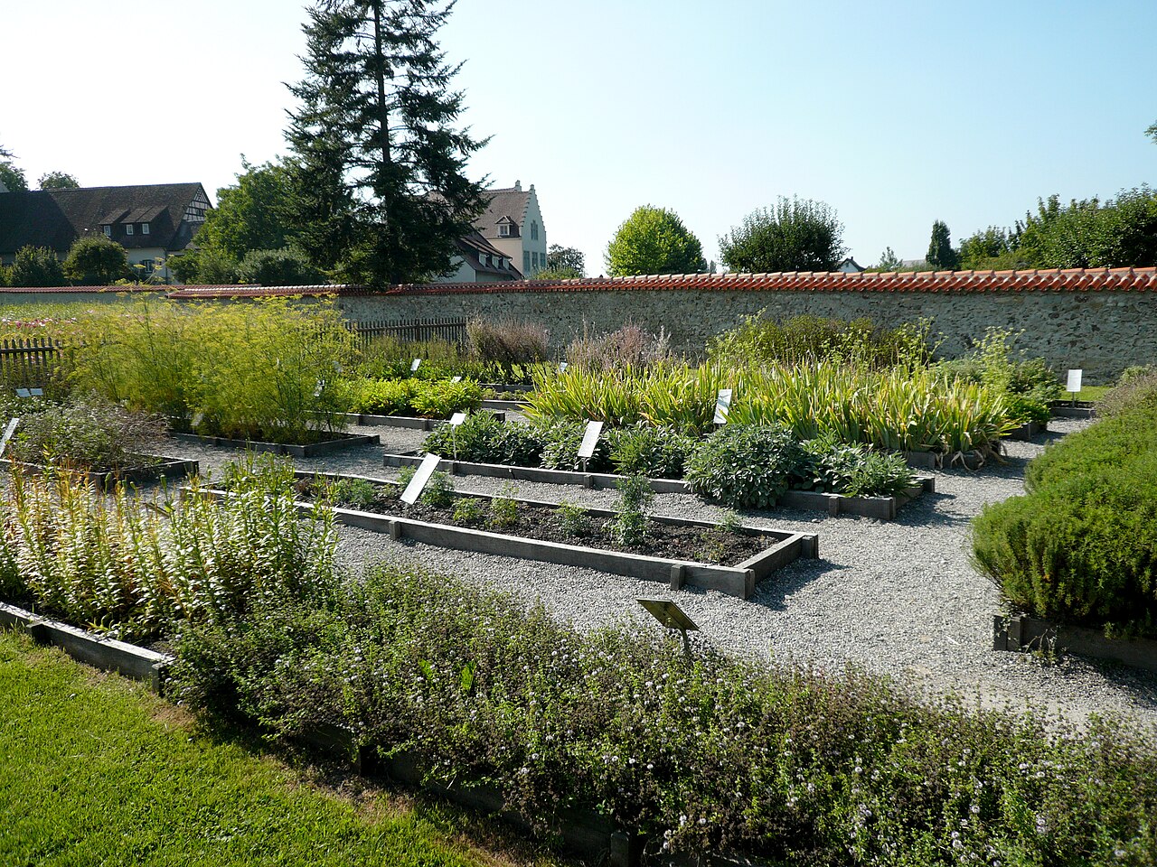 Historische Aufnahme von 2008: Kräuterbeete im Klostergarten Reichenau-Mittelzell; die heutige Anlage wurde später neu gestaltet.