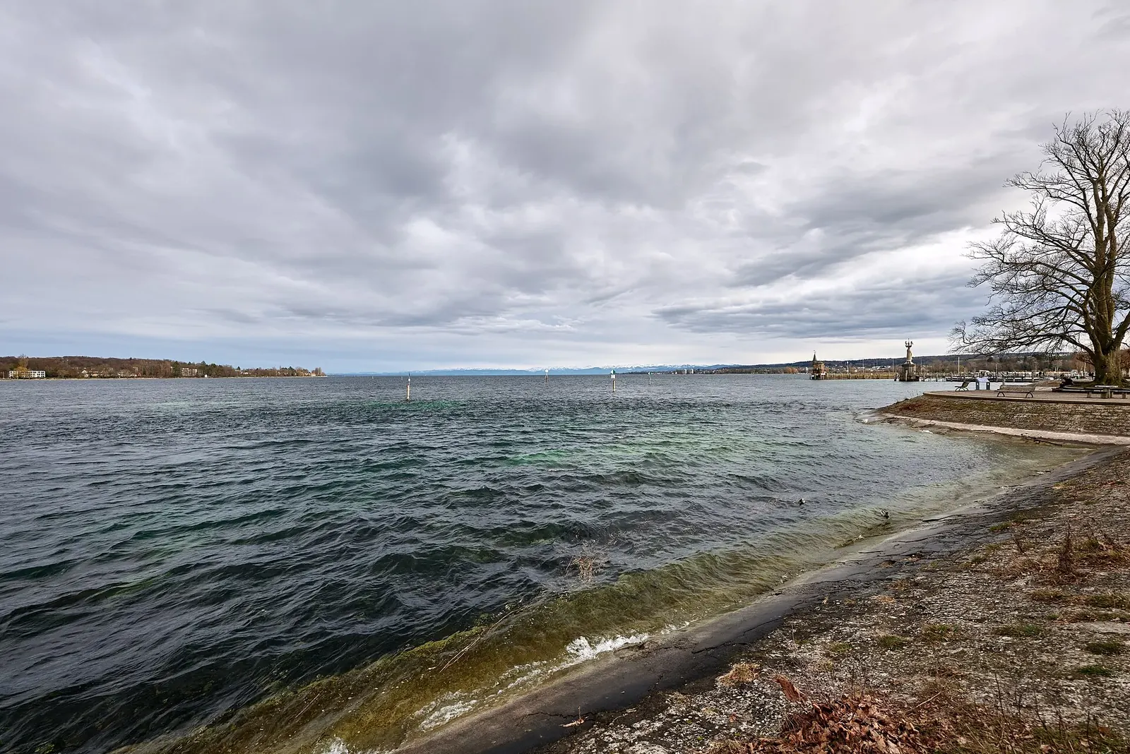 Bodensee vom Ufer des Stadtgartens Konstanz mit Blick zum Hafen und zur Imperia