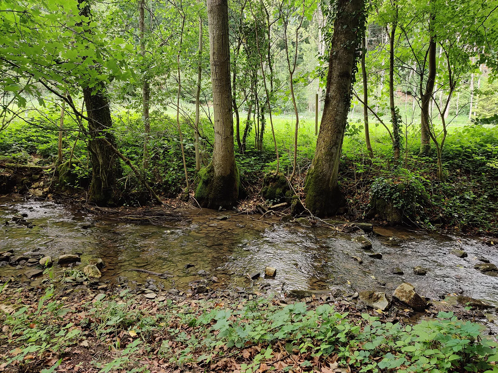 Krebsbachtal bei Eigeltingen als Landschaft der gesperrten Krebsbachputzer-Runde
