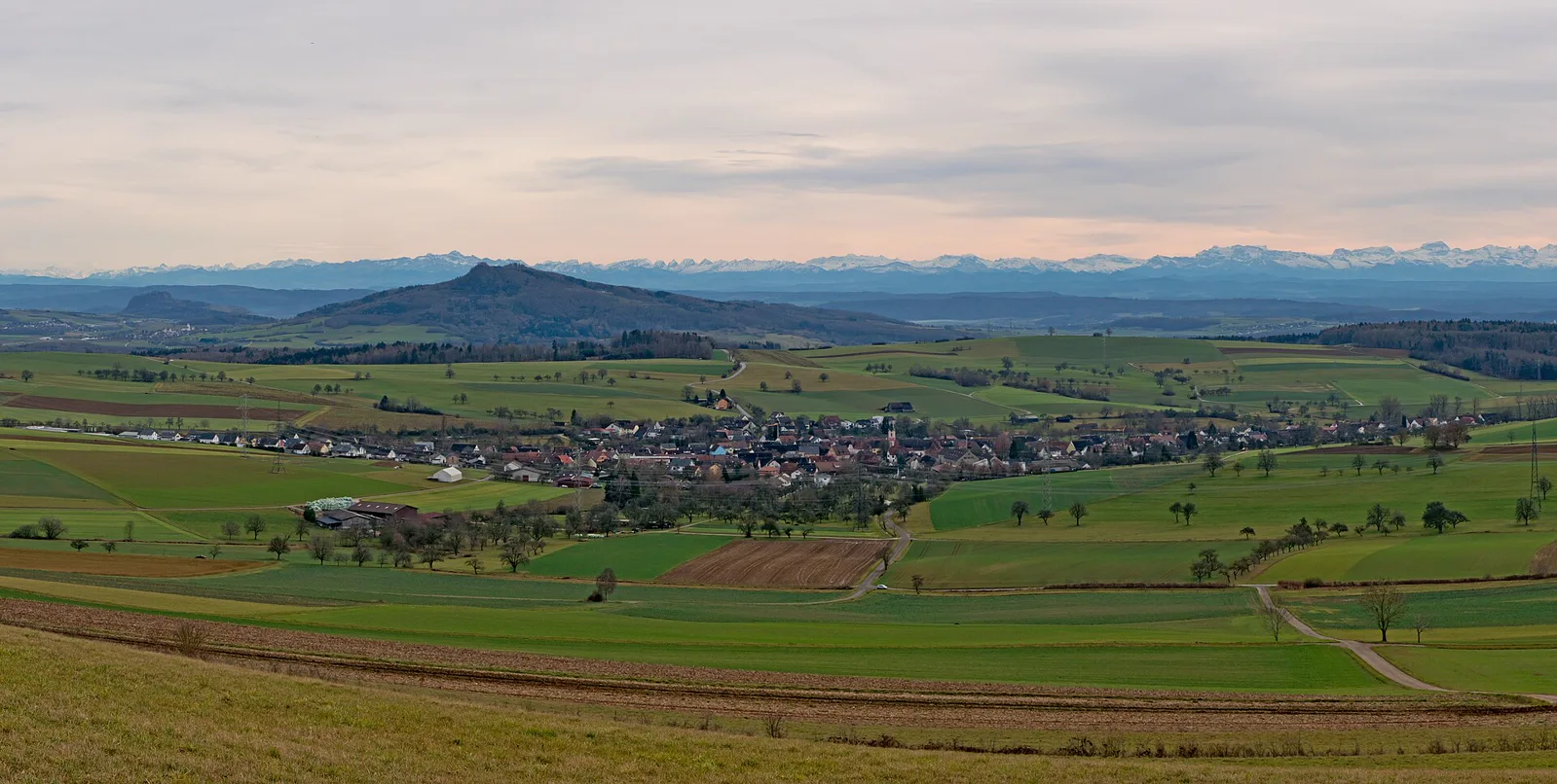 Blick vom Alten Postweg auf Watterdingen und die Alpen