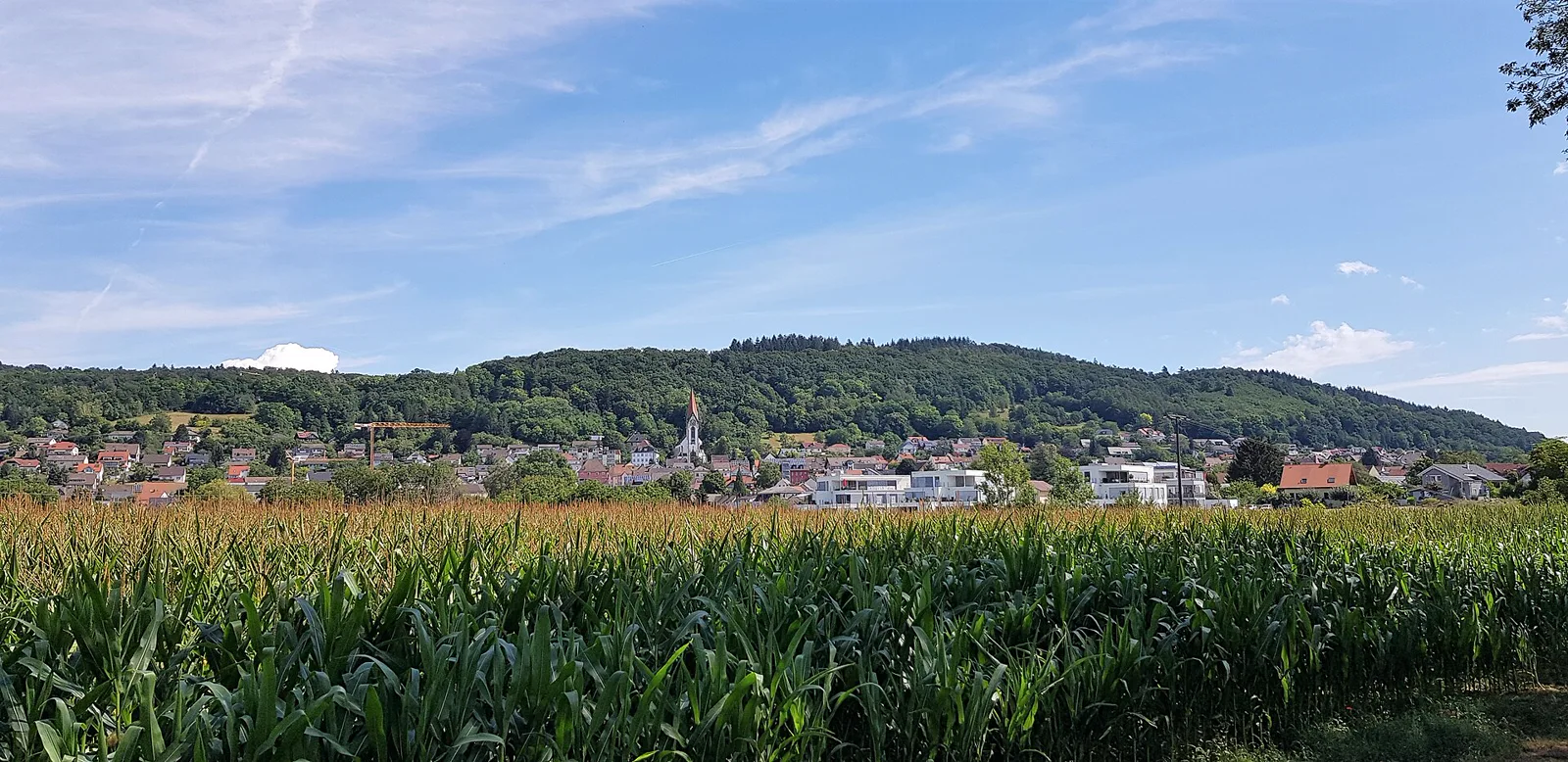 Blick auf Gailingen am Hochrhein, Ausgangsort des Grenzgänger-Wanderwegs