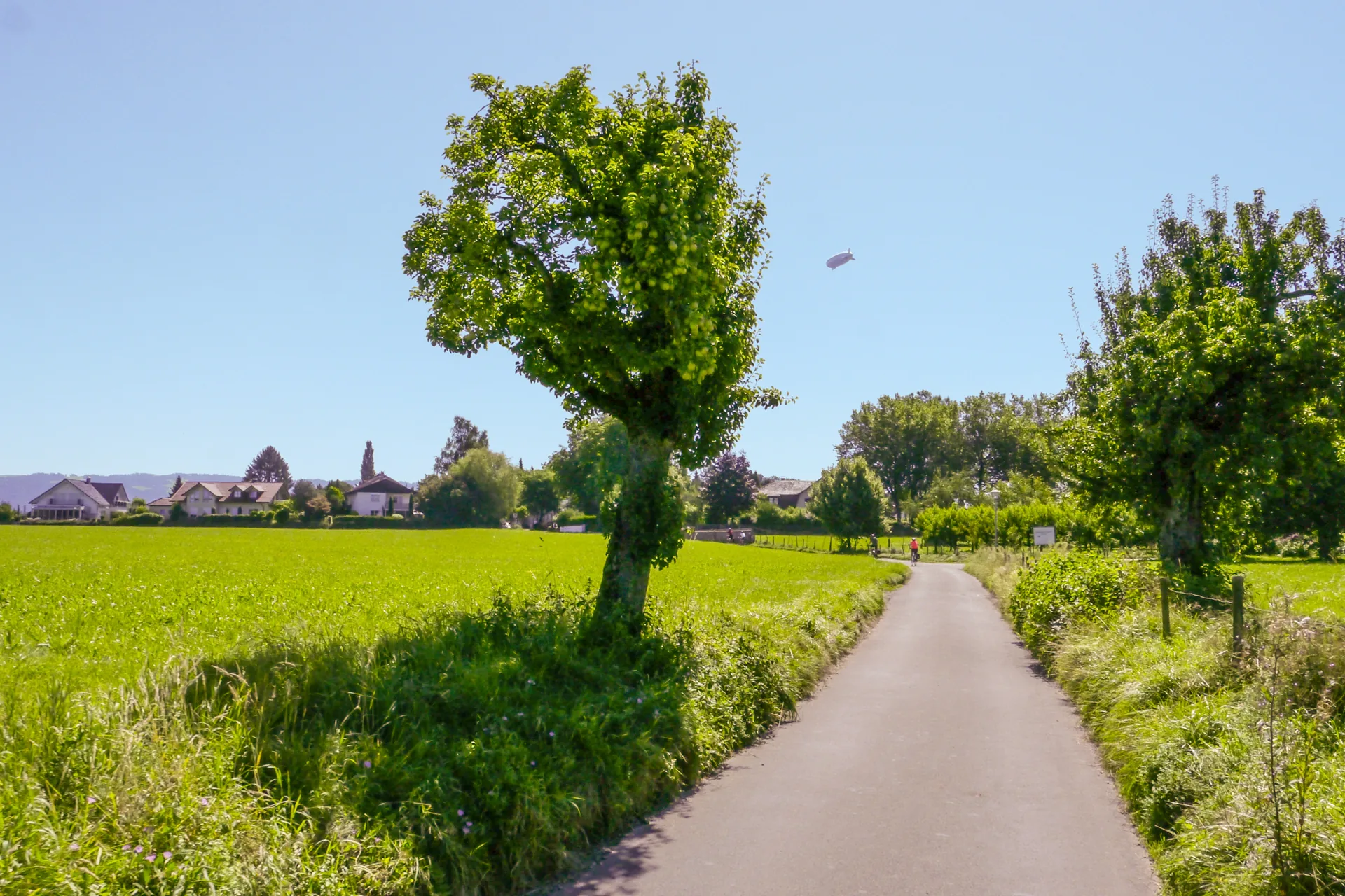 Radfahrer auf dem Bodensee-Radweg vor Lindau unter hellem Himmel