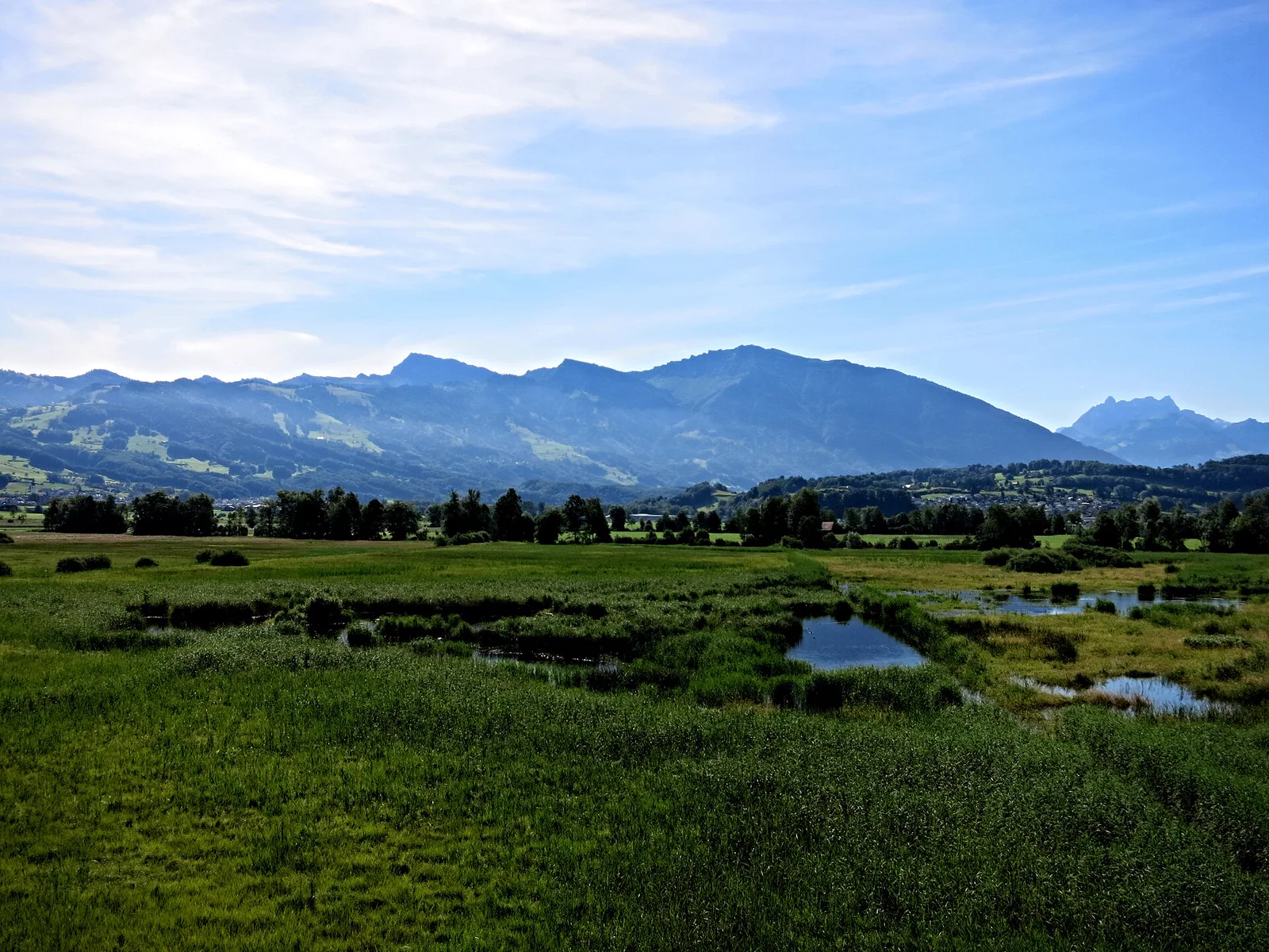 Feuchte Riedlandschaft mit Weiher am Kaltbrunner Ried bei Allensbach