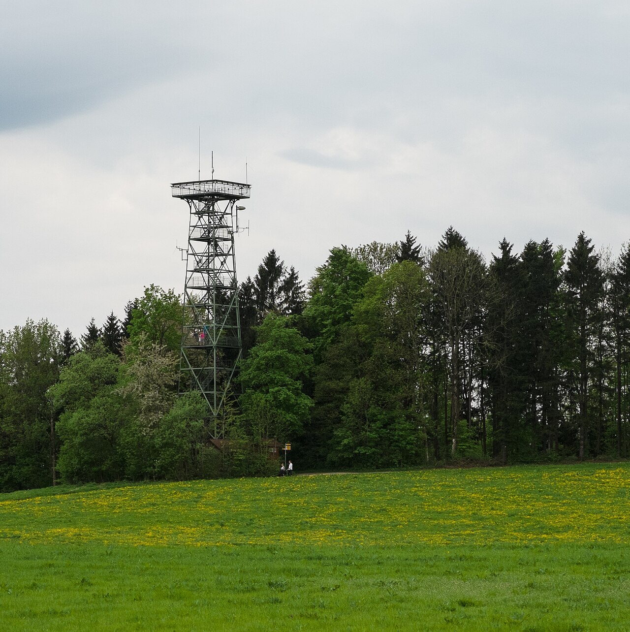 Gehrenbergturm bei Markdorf mit Aussichtsplattform, Wiese und Wald