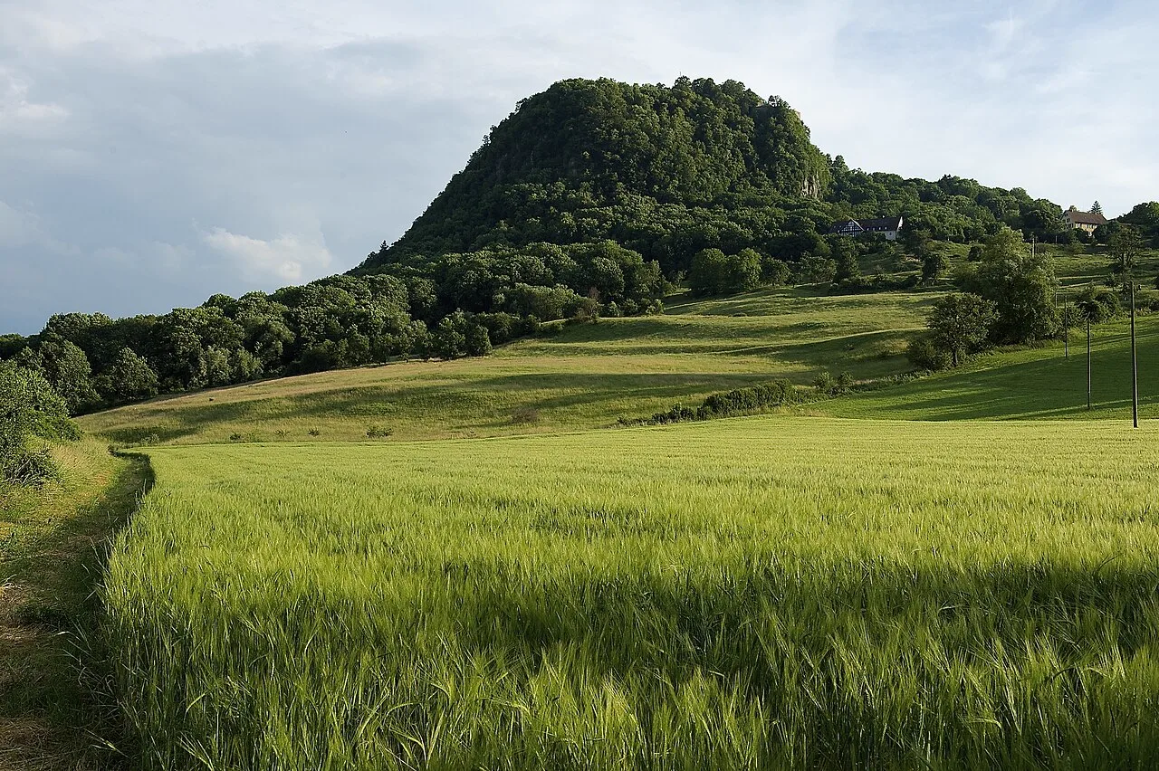 Bewaldeter Hohentwiel mit Wiesen und Weg bei Singen