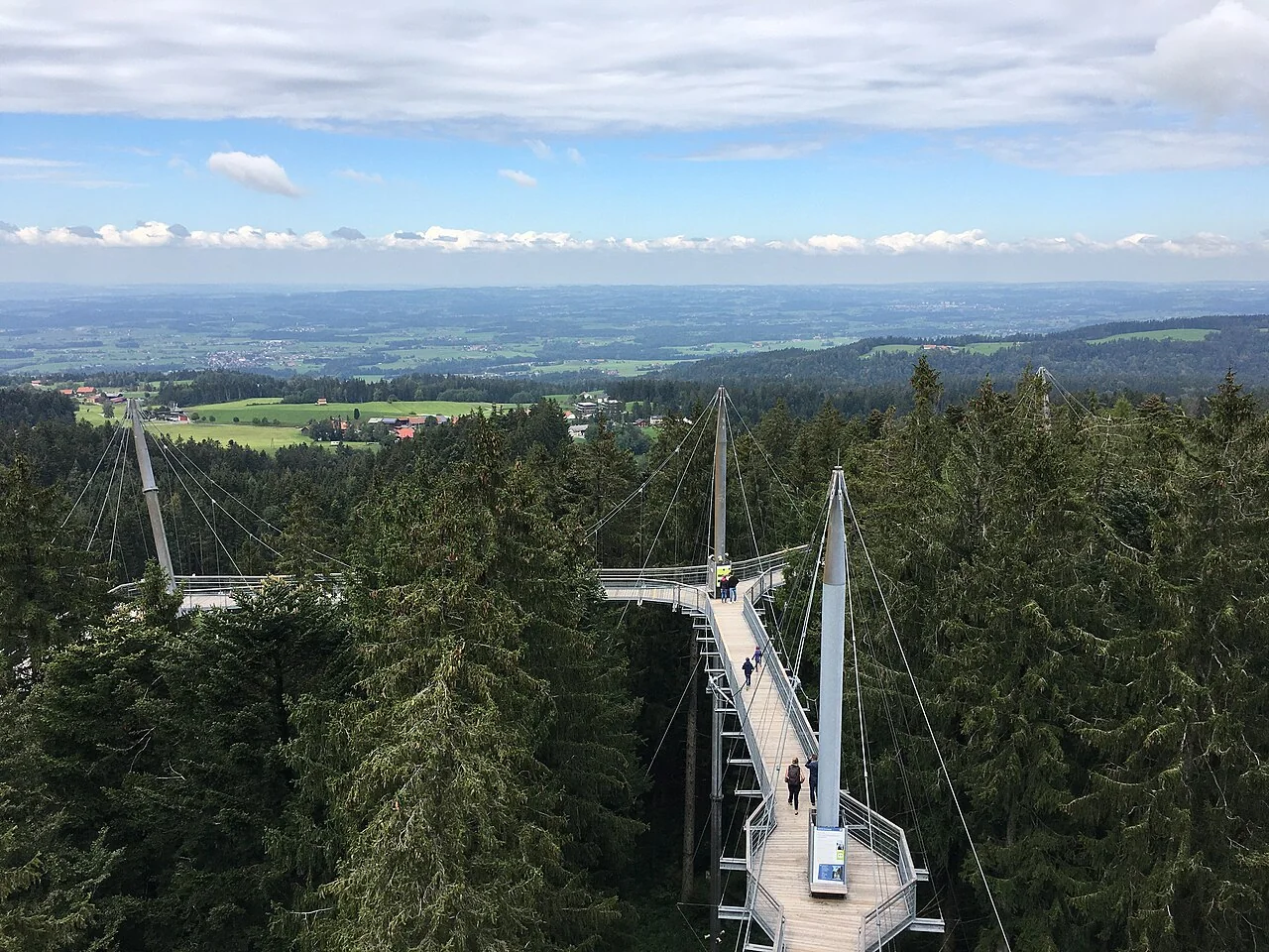 Baumkronenweg Skywalk Allgäu über dem Wald bei Scheidegg mit Blick ins Allgäu