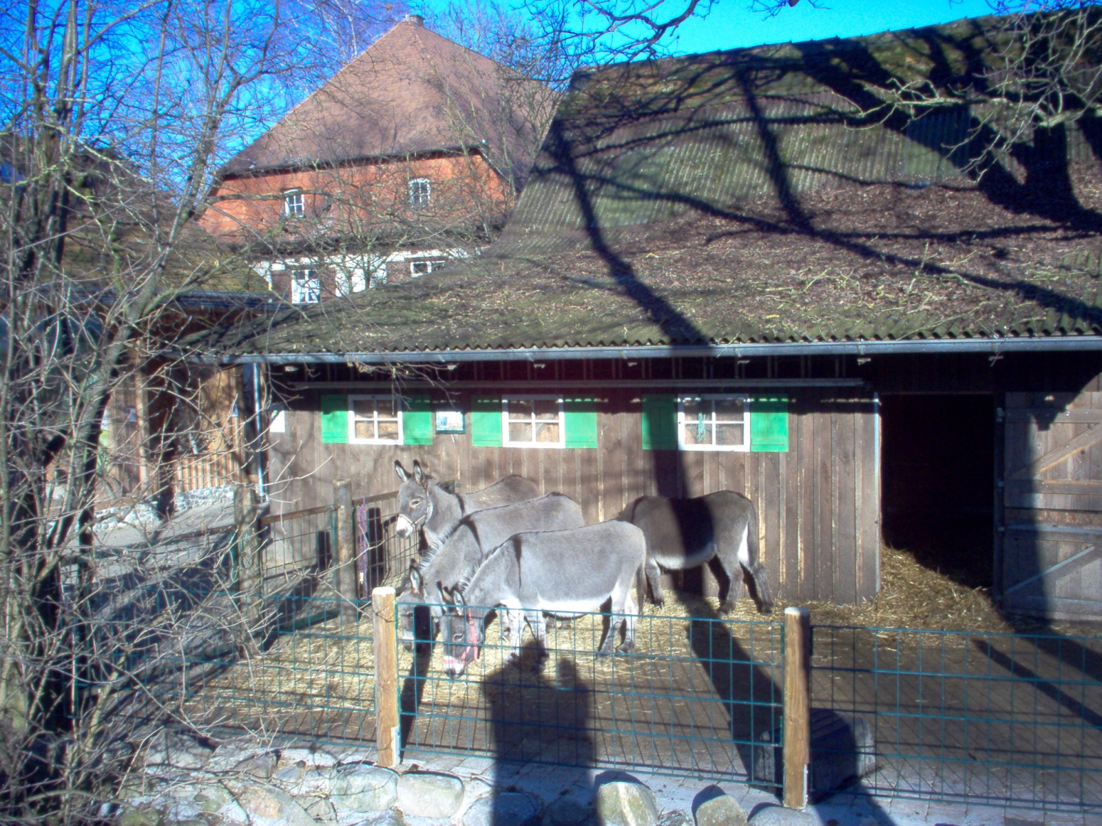 Esel vor Stall und Hofgebäude im Haustierhof Reutemühle
