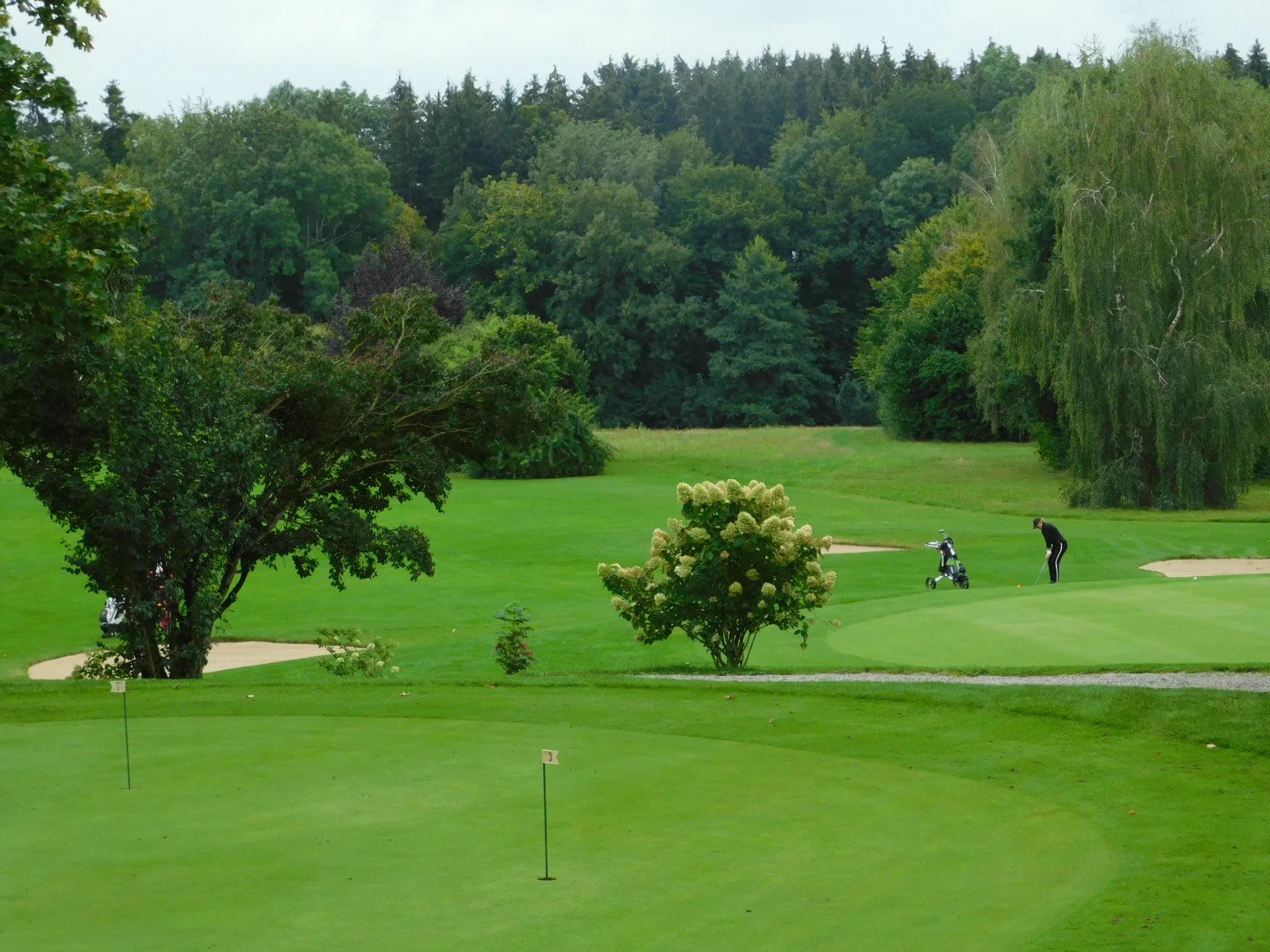 Originalfoto der Golfanlage Ravensburg: Golfer auf einem Grün zwischen Bäumen