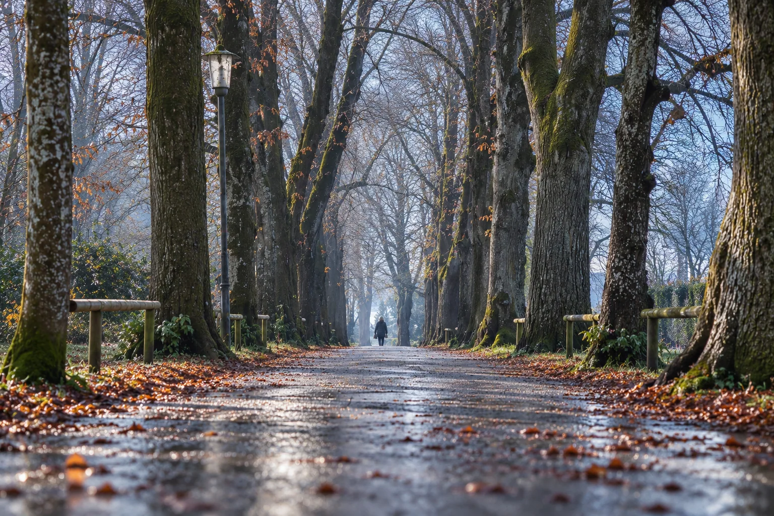 KI-generiertes Bildmotiv 2 für Winterspaziergang im Lindenhofpark im Winter
